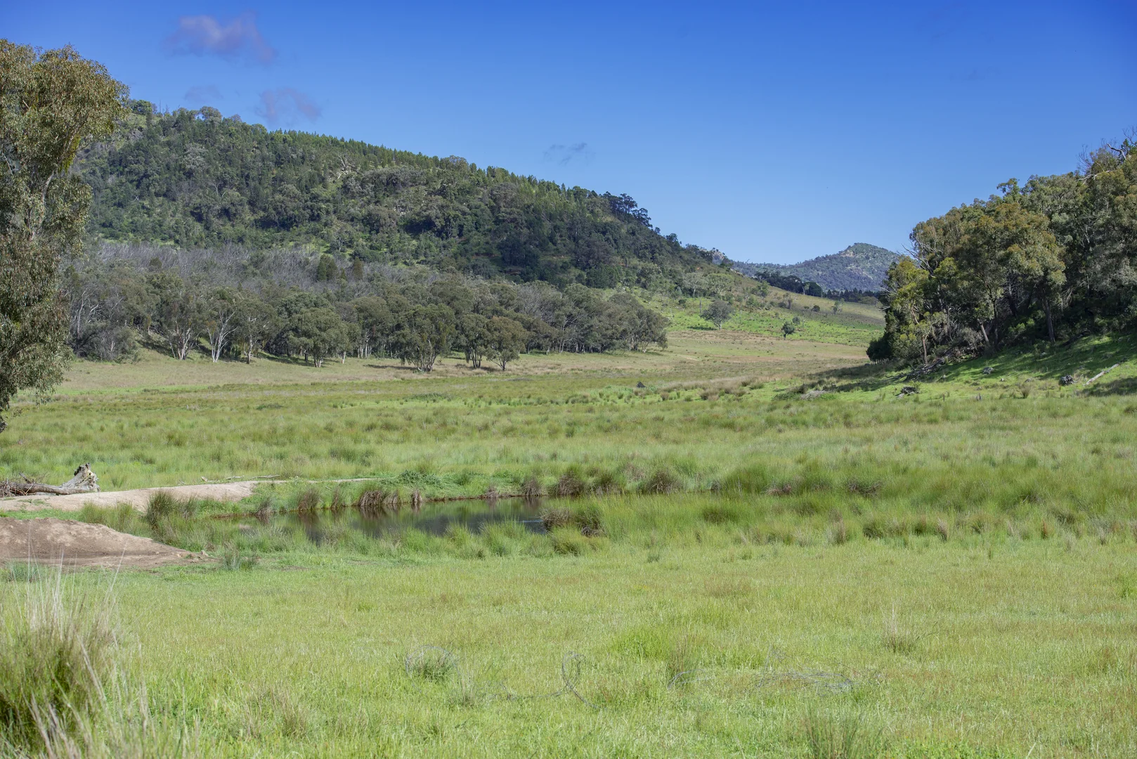 Additional image 33 of 1124 WARKTON ROAD, Coonabarabran NSW 2357