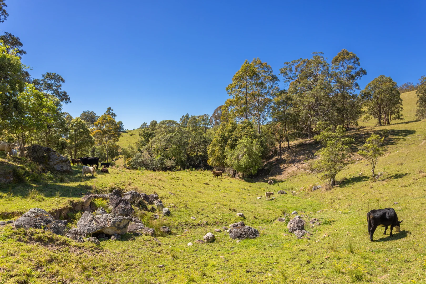 Additional image 12 of 233 Thunderbolts Way, Gloucester NSW 2422