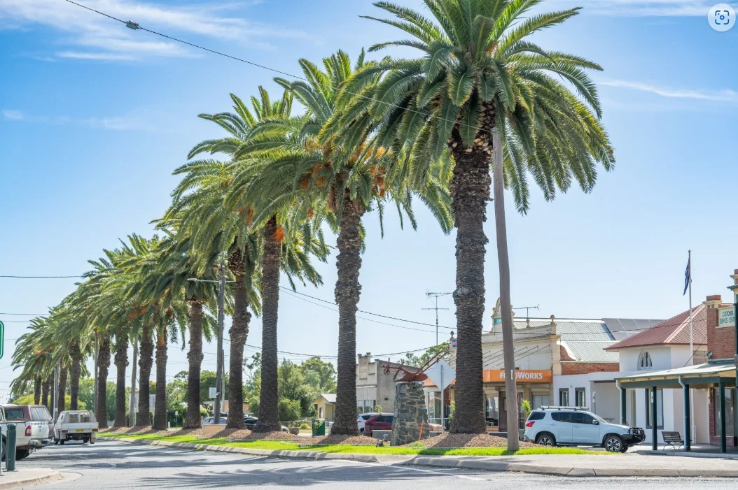 Additional image 4 of Balfour Street, Culcairn NSW 2660