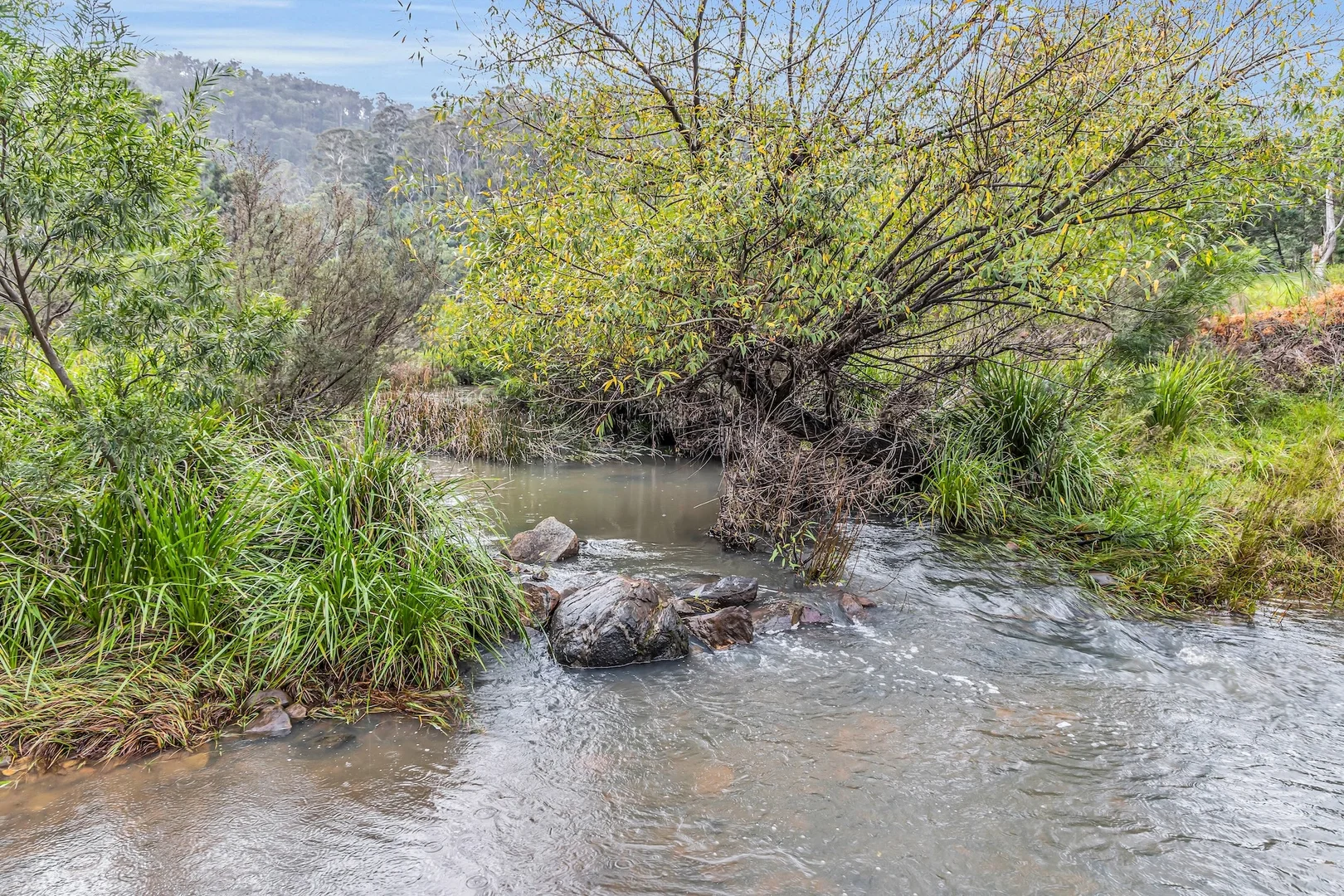 Additional image 21 of Lot 2&3 New Buildings Road, Wyndham NSW 2550