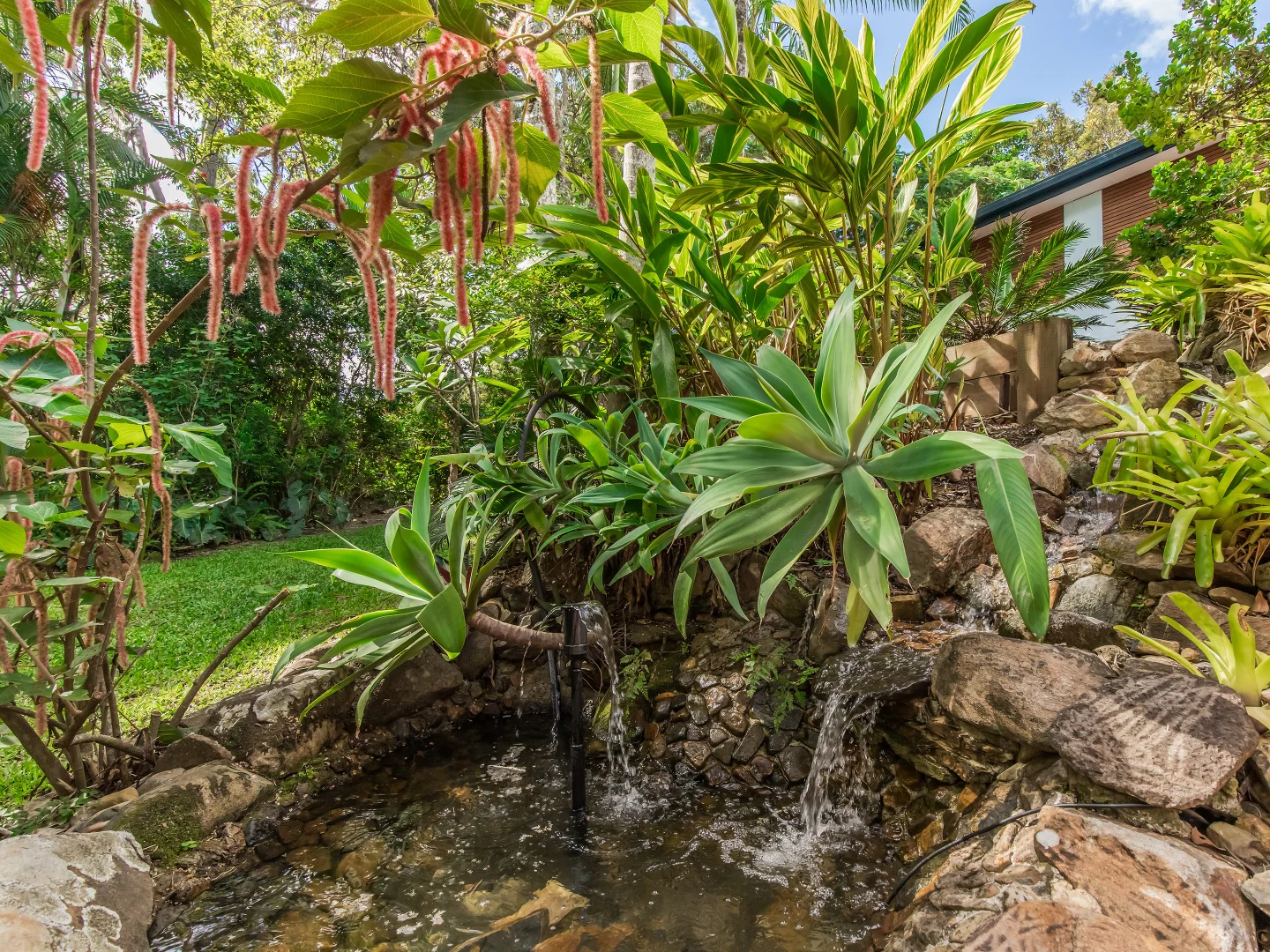 Additional image 26 of 58 Bridgman Drive, Reedy Creek QLD 4227