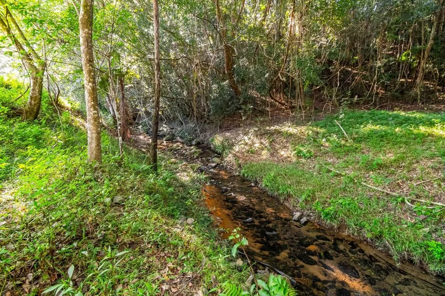 Additional image 11 of 102 Harwood Road, Burringbar NSW 2483