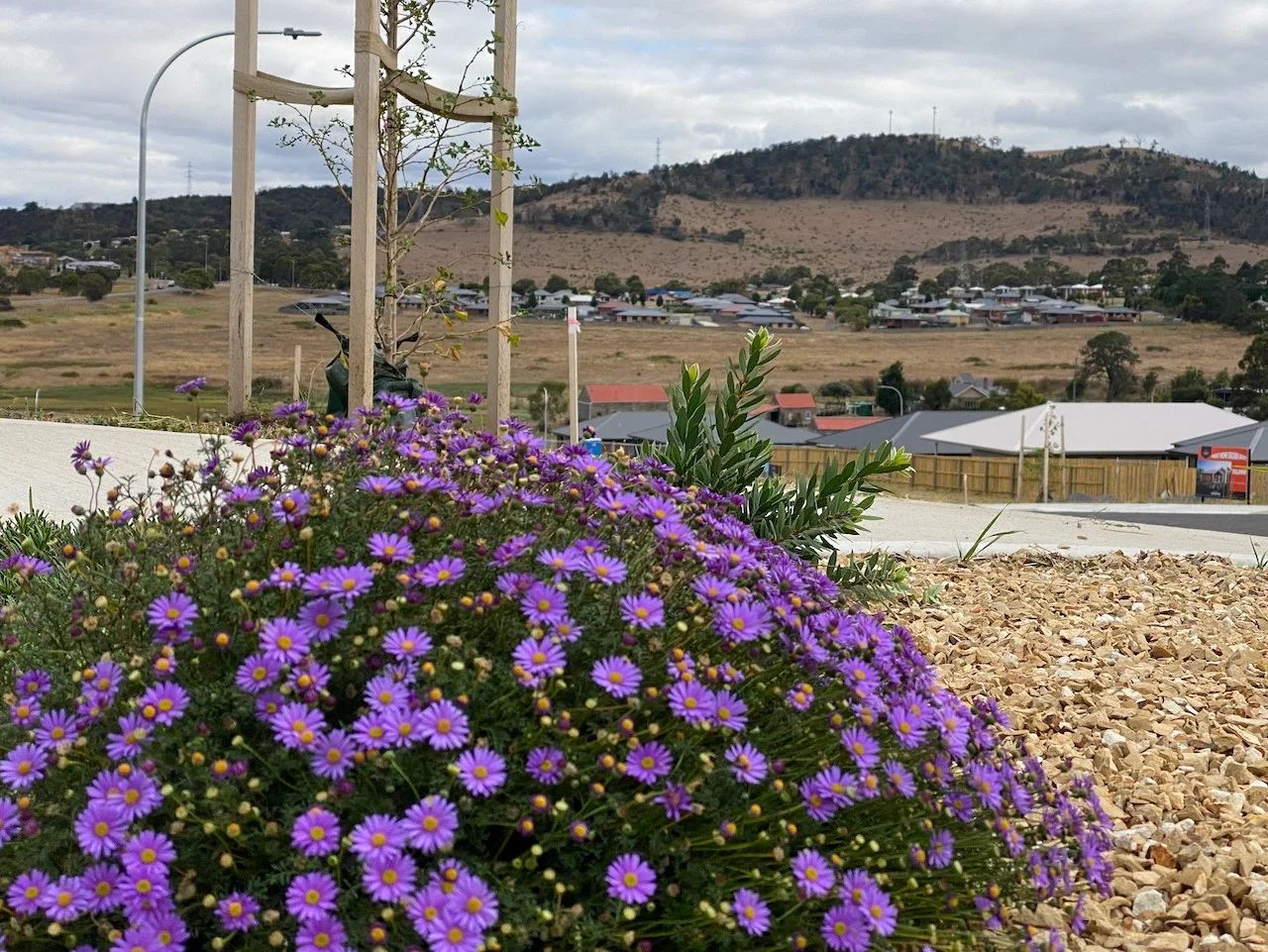 Additional image 5 of Lot 00 Tivoli Green, Old Beach TAS 7017