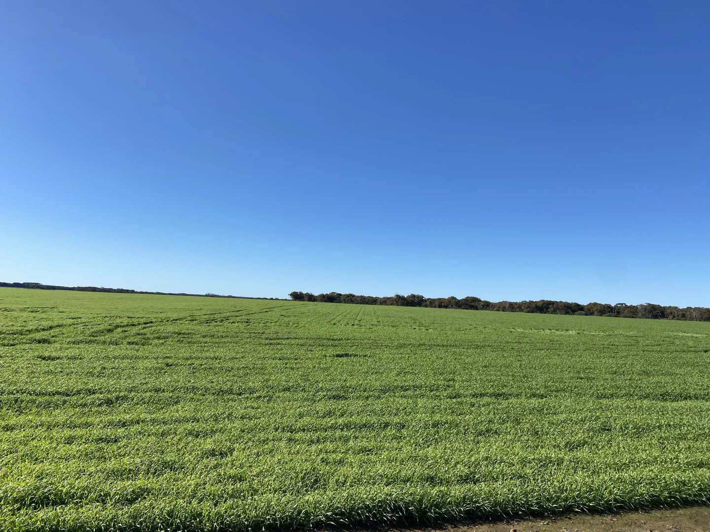 Additional image 18 of 39949 South Coast Highway, Green Range WA 6328