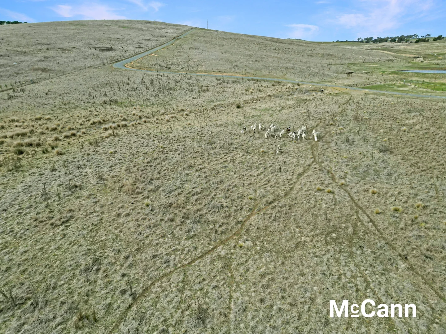 Additional image 8 of 145 Collector Road, Gunning NSW 2581