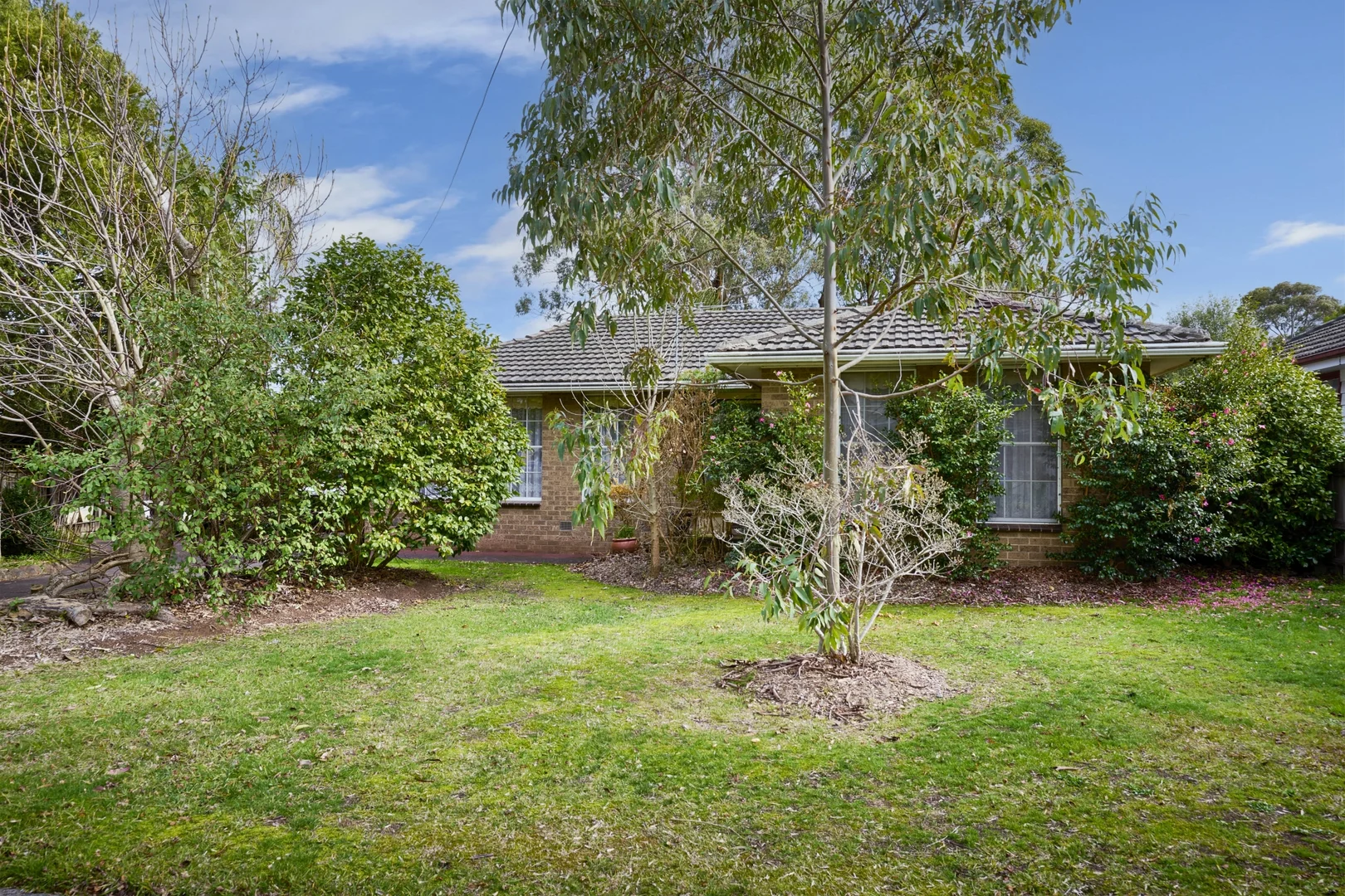 Additional image 6 of 14 Park Lane, Croydon VIC 3136