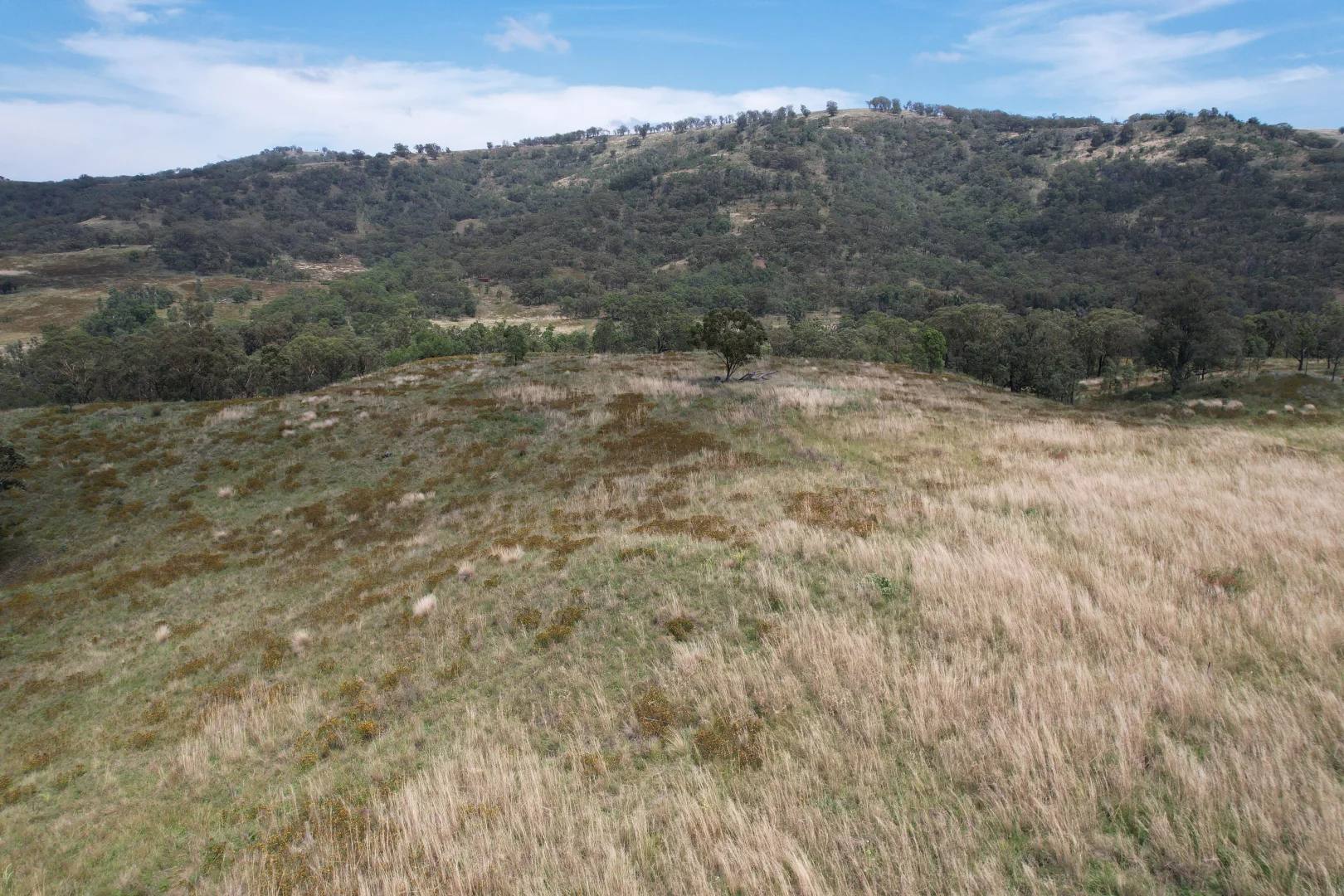 Additional image 9 of 23, 23 Pembroke Road, Cassilis NSW 2329