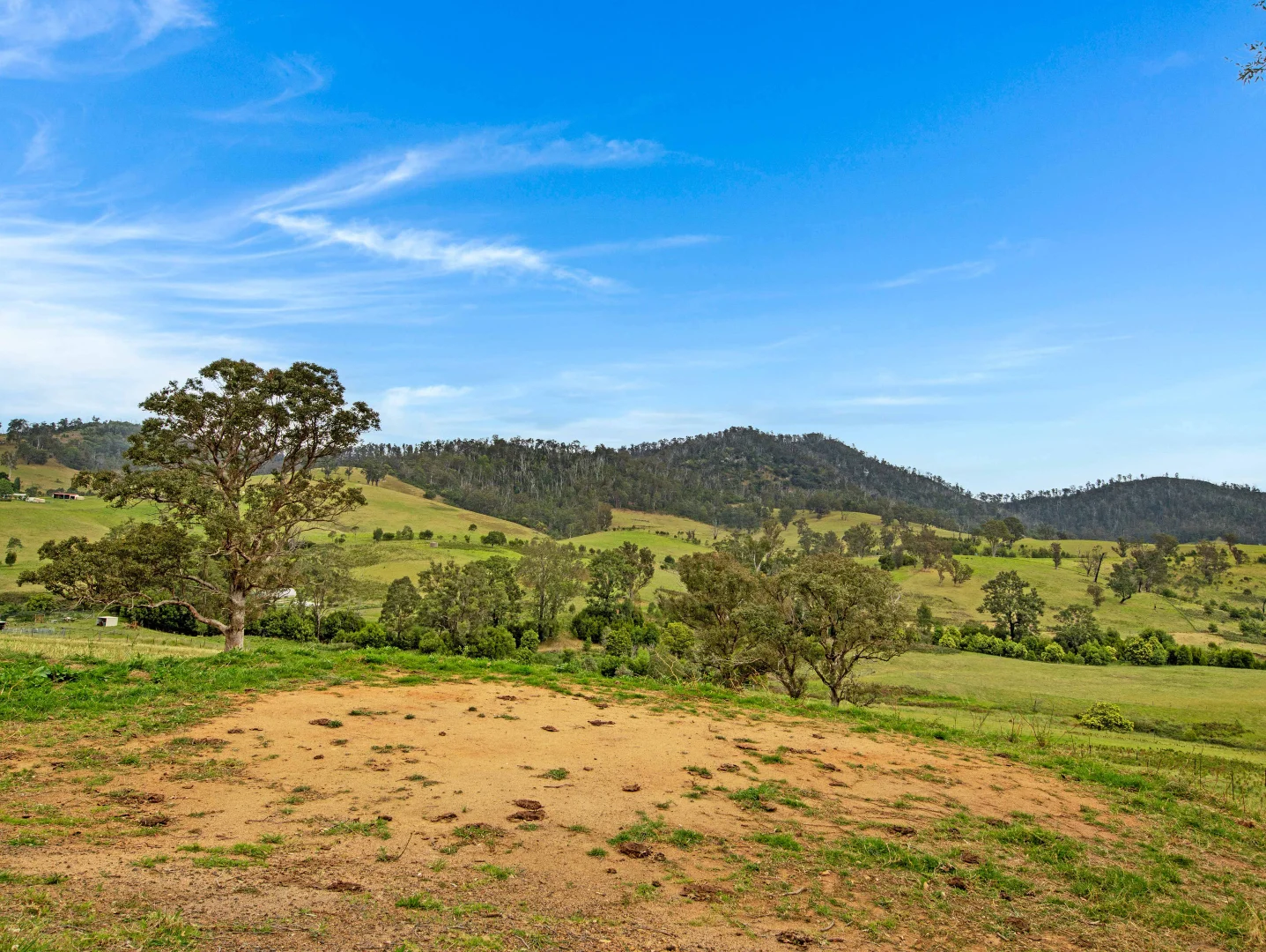 Additional image 15 of 375 Gilberts Road, Cobargo NSW 2550