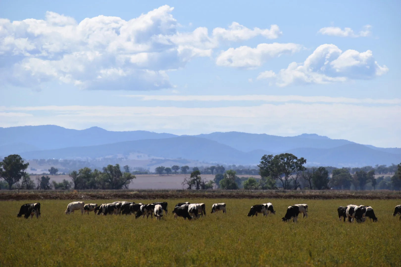 Additional image 32 of 448 Nangar Road, Canowindra NSW 2804