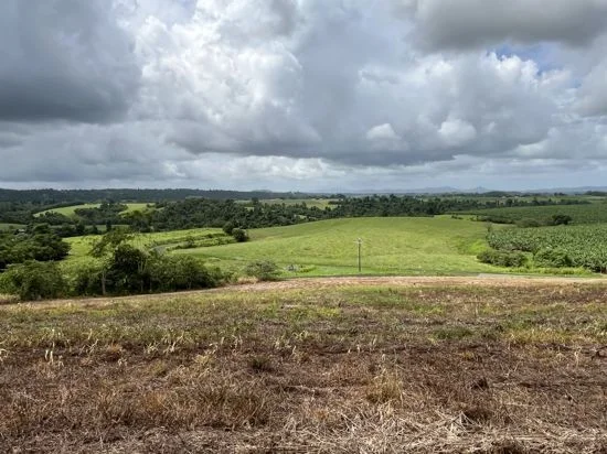 Additional image 25 of 125 Utchee Creek Road, Mena Creek QLD 4871