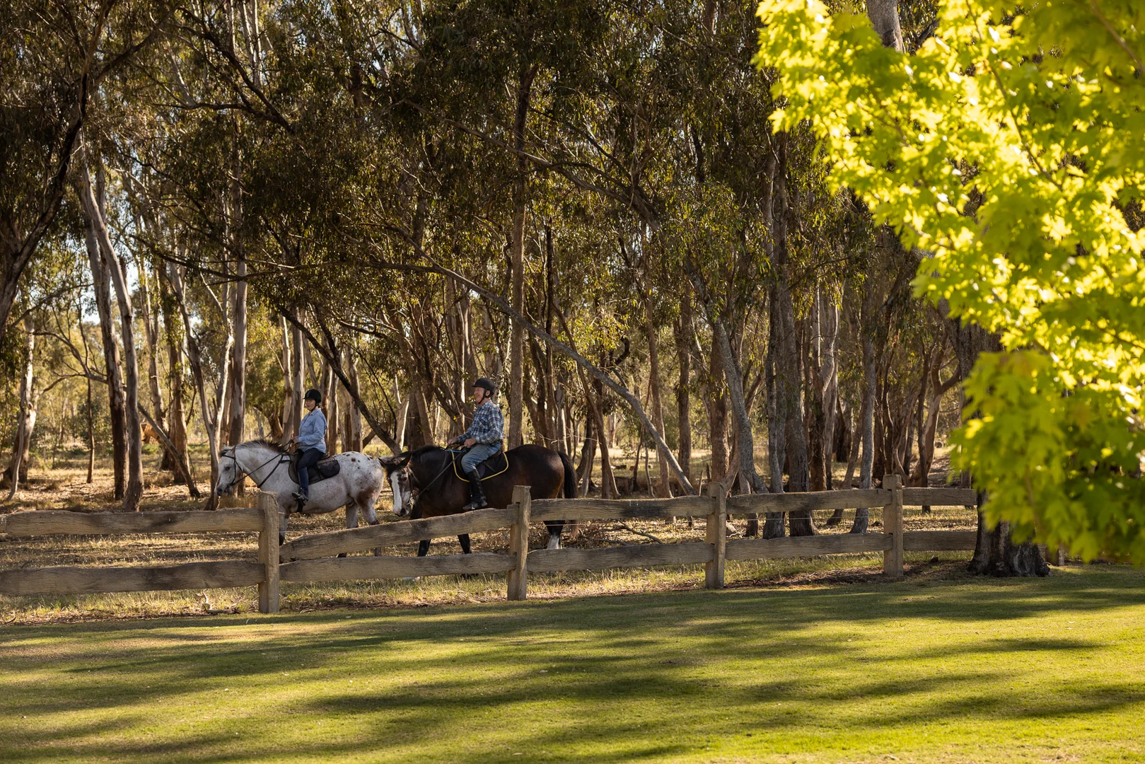 Additional image 31 of 185 Morgans Mill Road, Bearii VIC 3641