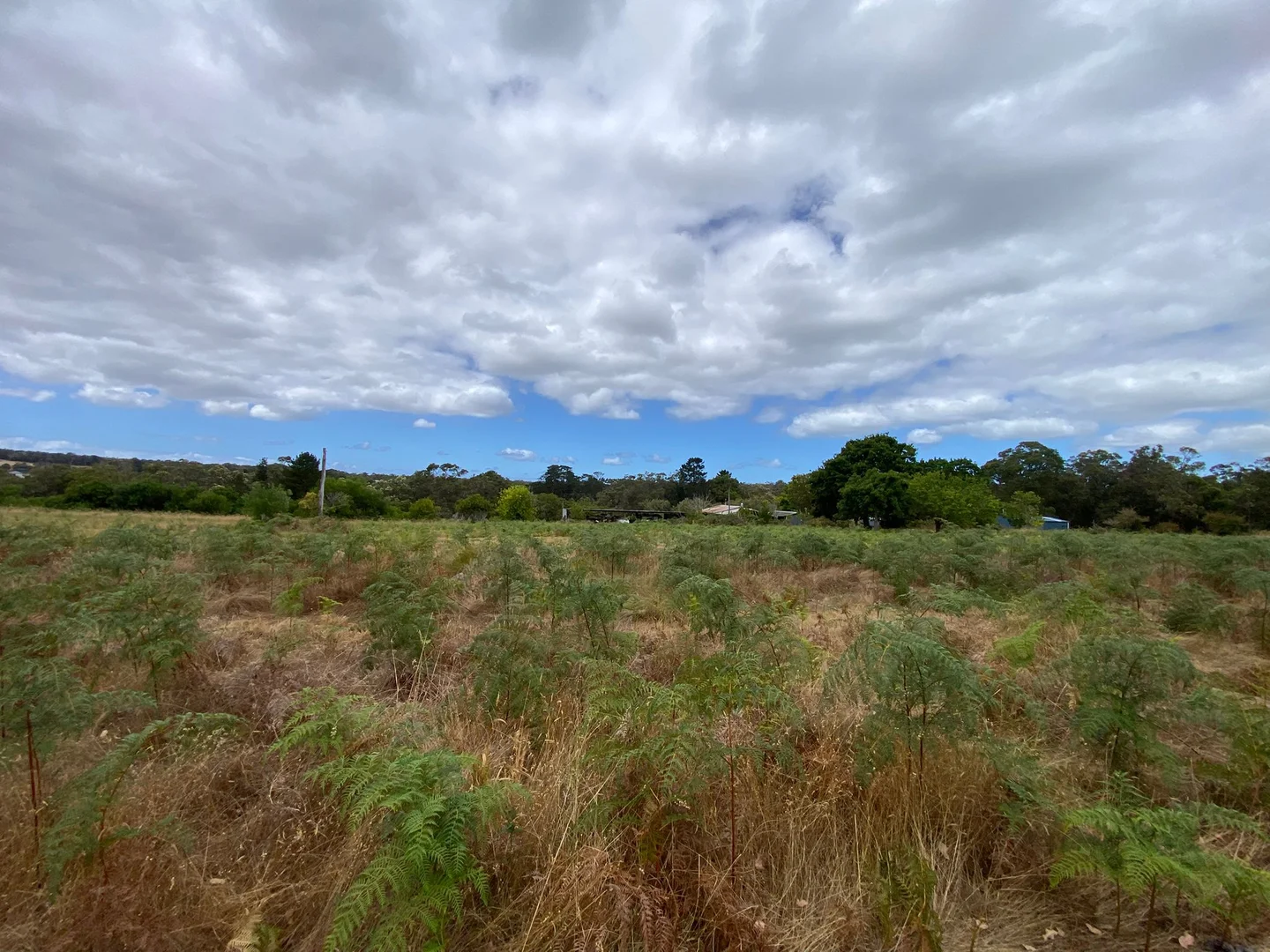 Additional image 7 of 45647 South Coast Highway, Kalgan WA 6330