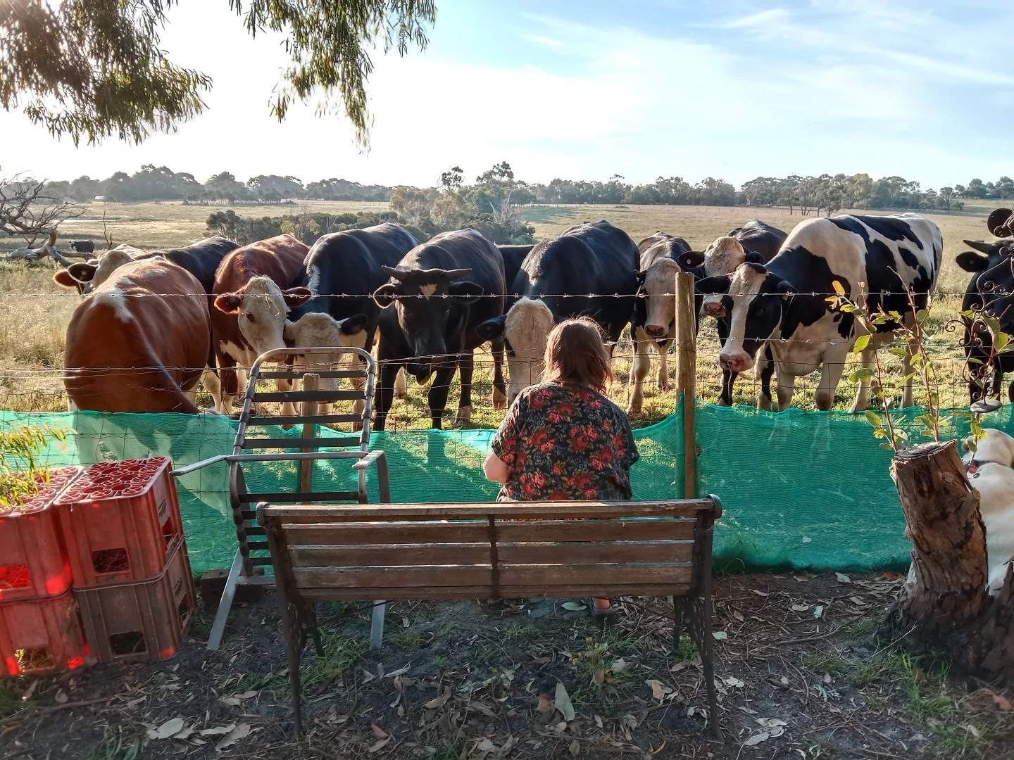 Additional image 26 of 31 Bayview Avenue, Tenby Point VIC 3984