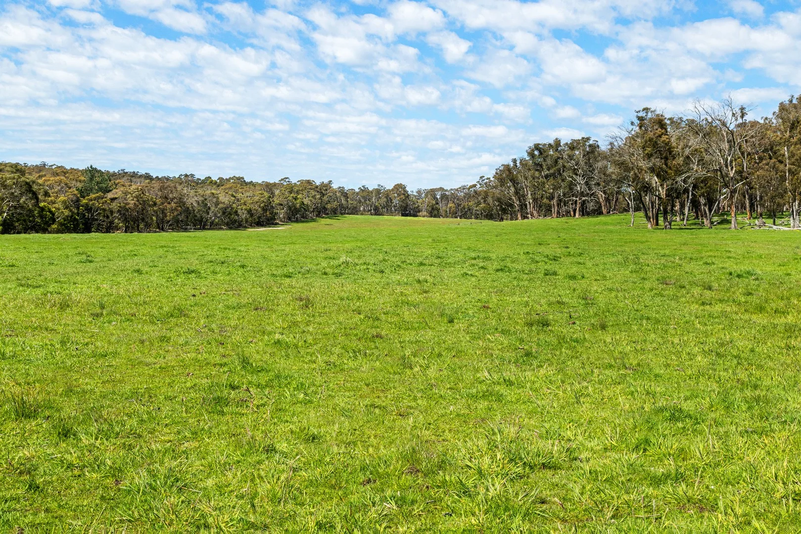 Additional image 3 of Napoleons VIC 3352