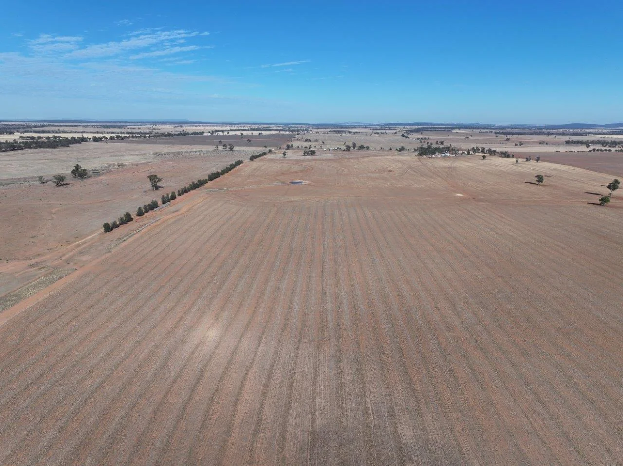 Additional image 9 of 'Craignish' 847 Mirrool South Road, Beckom NSW 2665