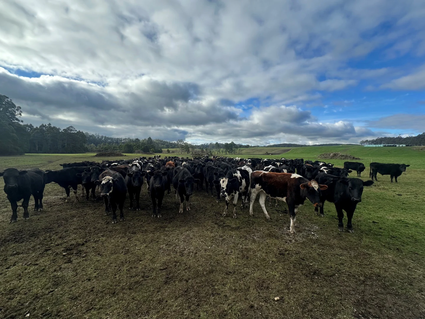 Additional image 4 of 1719 Mawbanna Road, Mawbanna TAS 7321