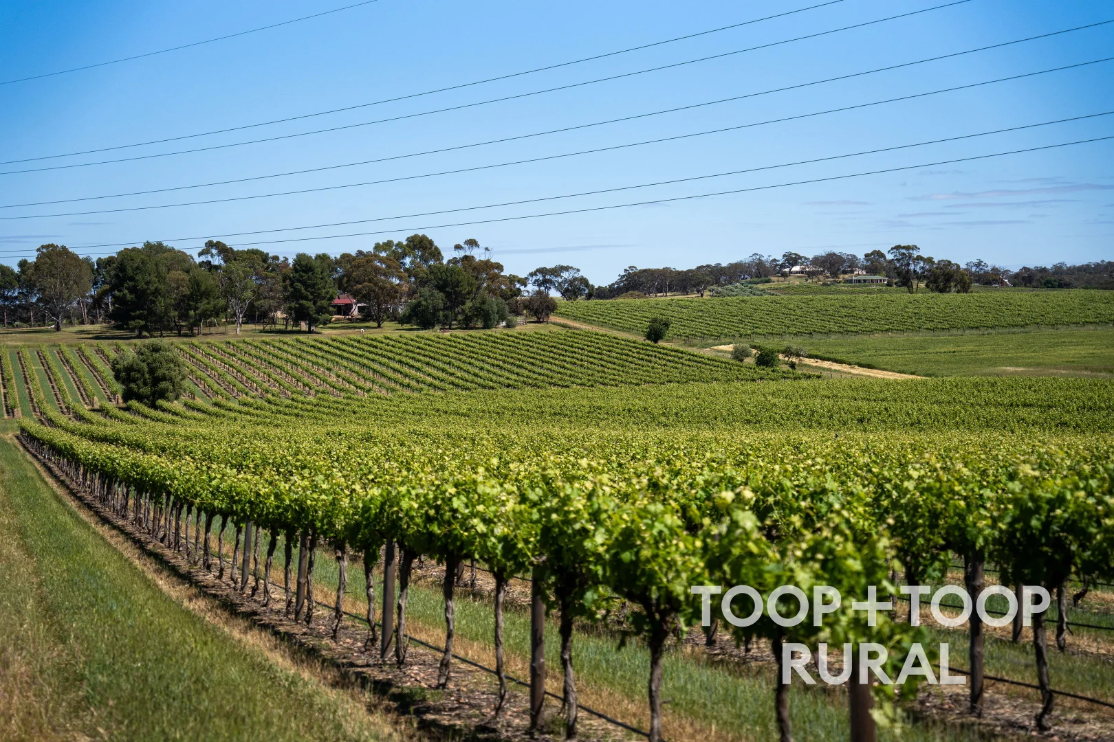 Additional image 8 of 303 Stonewell Road, Stone Well SA 5352