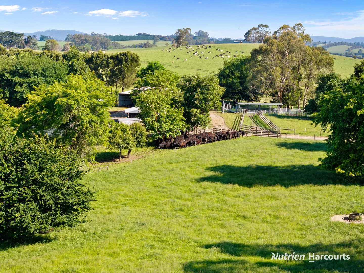 Additional image 33 of 235 Neerim East Road, Neerim South VIC 3831