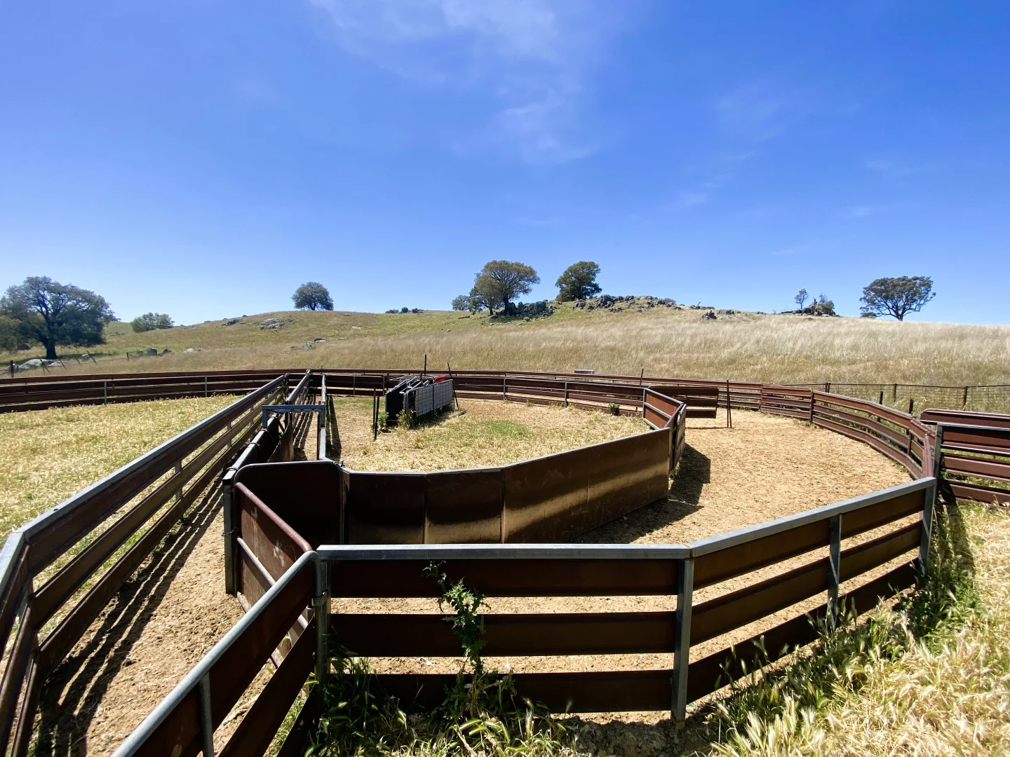 Additional image 17 of 250 Emu Creek Road, Canowindra NSW 2804