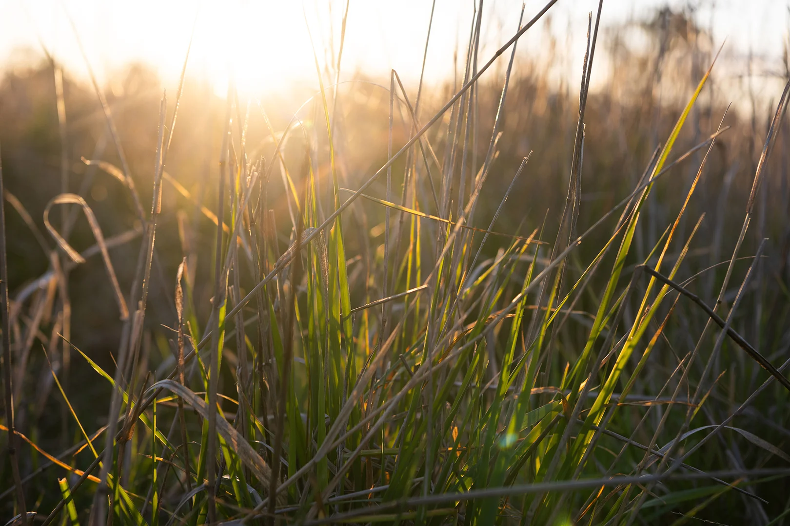 Additional image 36 of 1843 Yeo Yeo Hampstead Road, Young NSW 2594