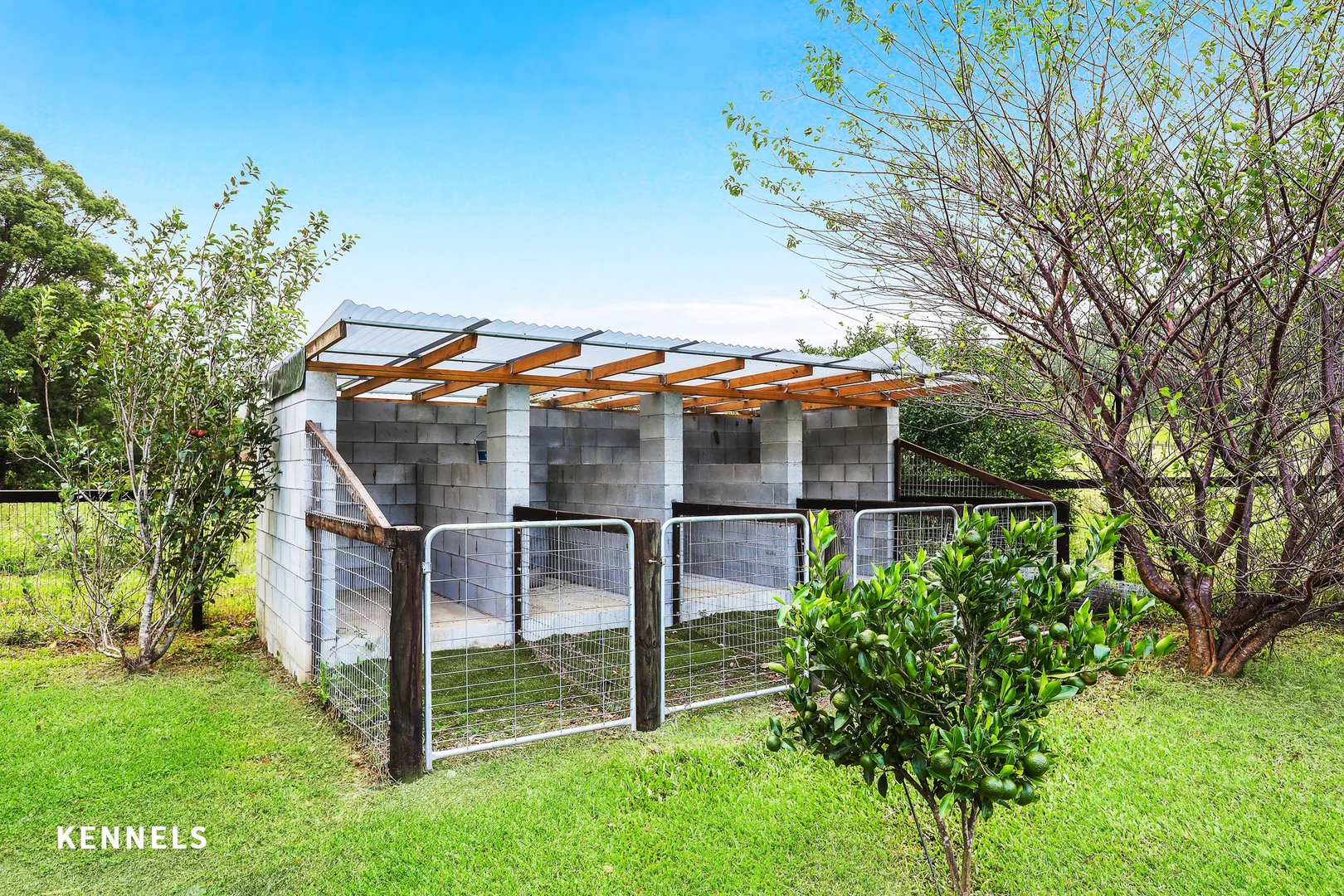 Additional image 22 of 3 Pine Tree Place, Piggabeen NSW 2486