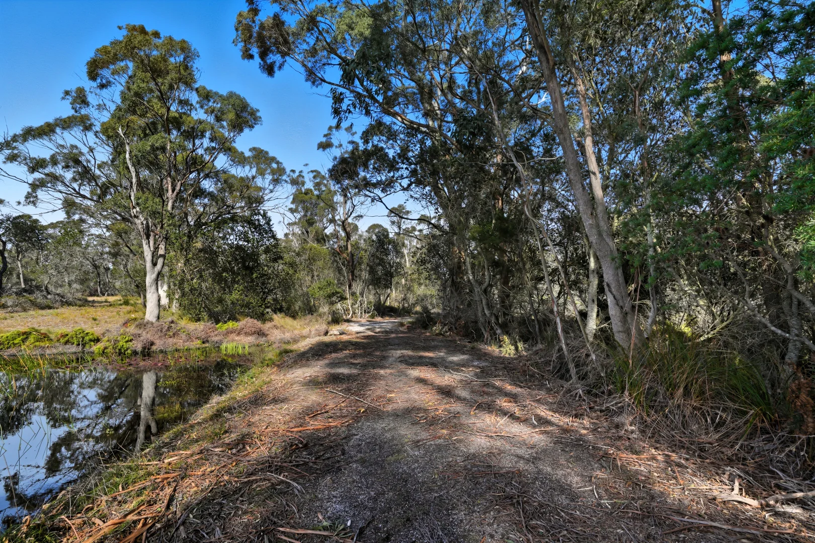 Additional image 20 of 886 North Ansons Road, Gladstone TAS 7264