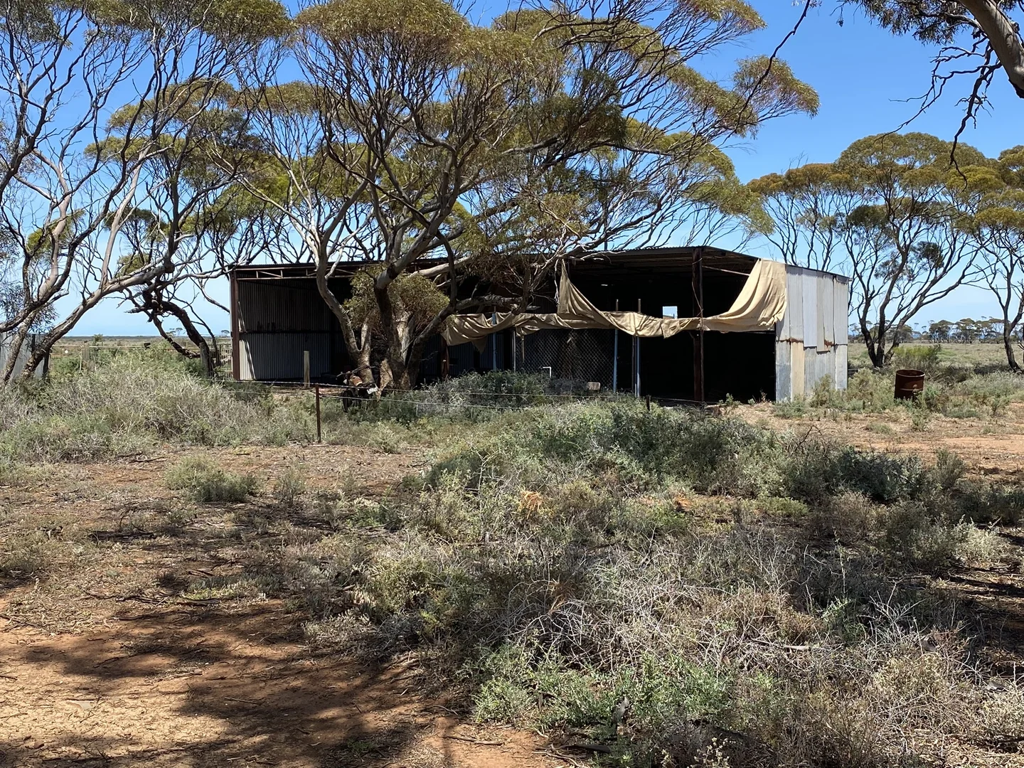 Additional image 10 of 57 Buggy Rd, Baroota SA 5495