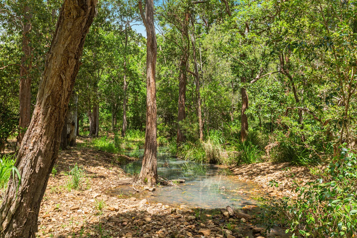 Additional image 28 of 45 Greys Lane, Ravenshoe QLD 4888