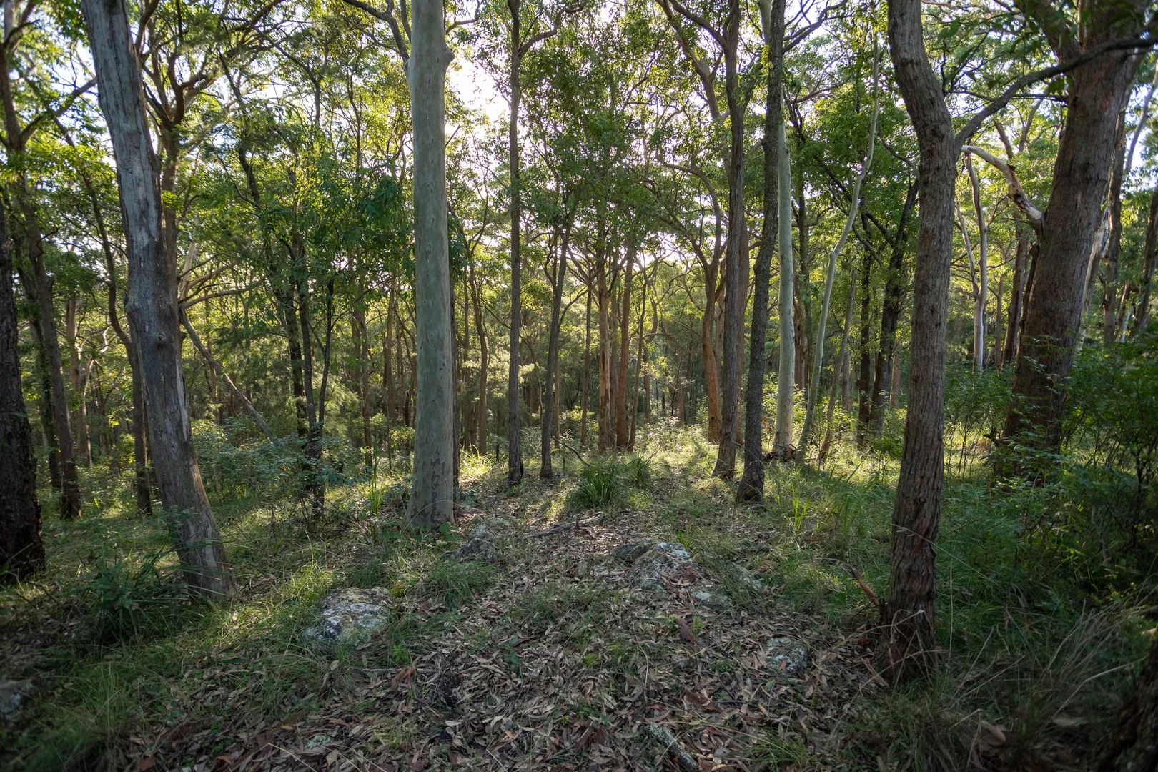 Additional image 5 of 706 MOONABUNG ROAD, Vacy NSW 2421