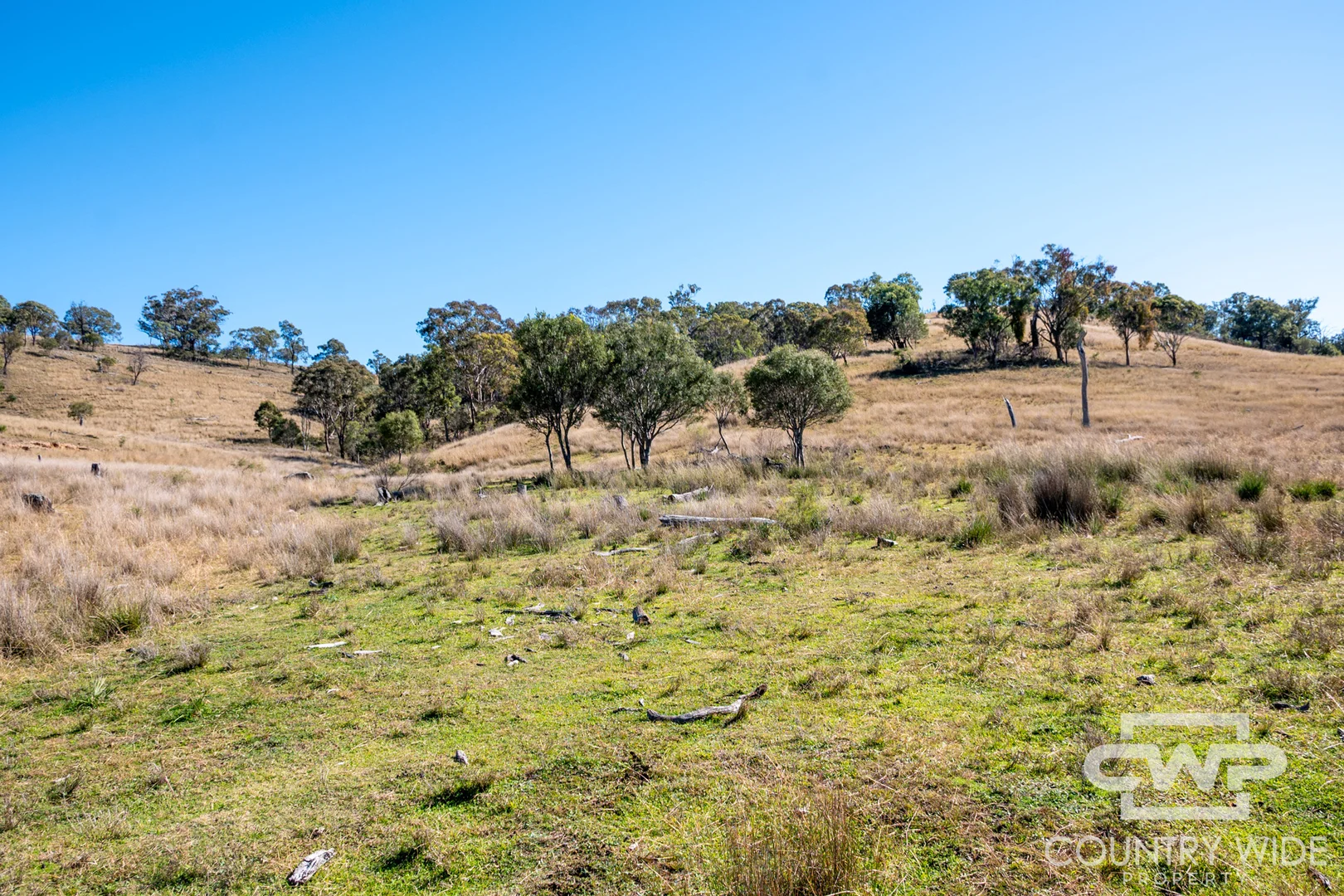 Additional image 6 of 12, 212 Mole Station Road, Tenterfield NSW 2372