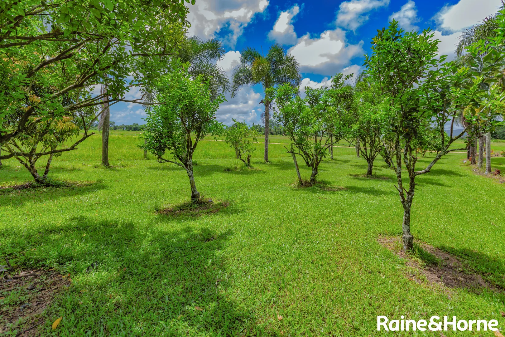 Additional image 17 of 3-5 No.5 Branch Road, Silkwood QLD 4856
