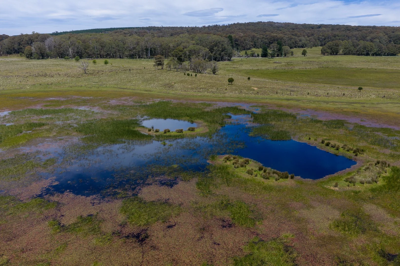 Additional image 2 of Thornleigh Coolangubra Road, Cathcart NSW 2632