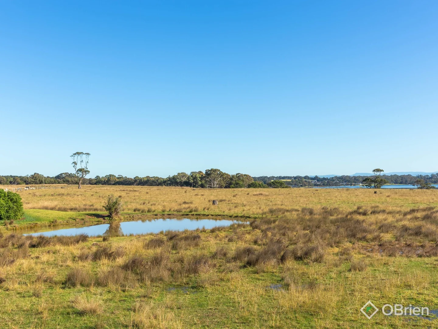 Additional image 23 of 21 Sunset Boulevard, Paynesville VIC 3880