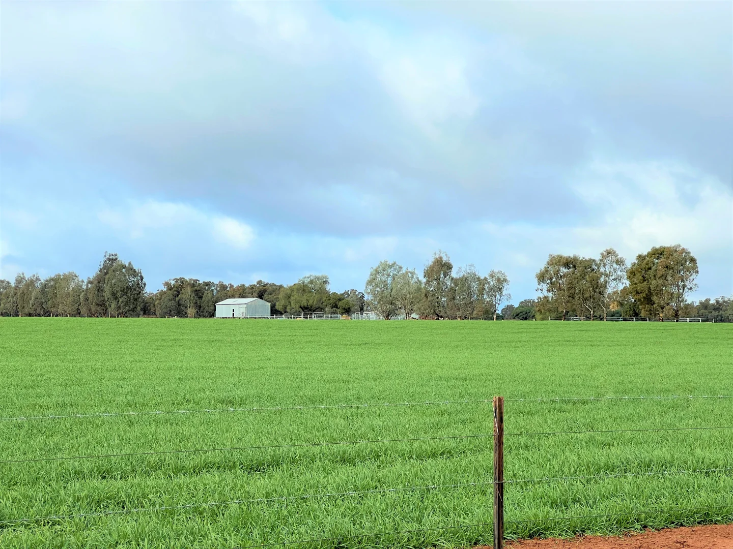 Additional image 6 of 2648 Old Narrandera Road, Currawarna NSW 2650