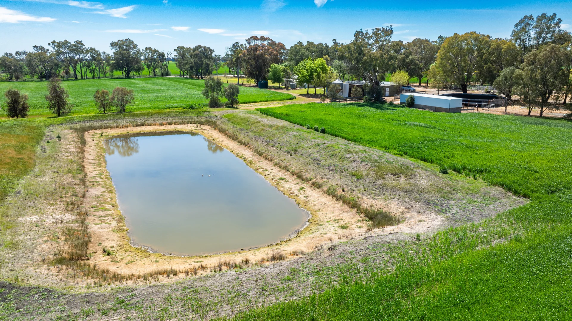 Additional image 12 of 106 Cornishtown Road, Rutherglen VIC 3685