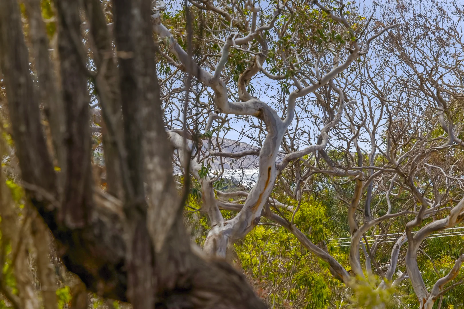 Additional image 5 of 26 Parker Street, Anglesea VIC 3230