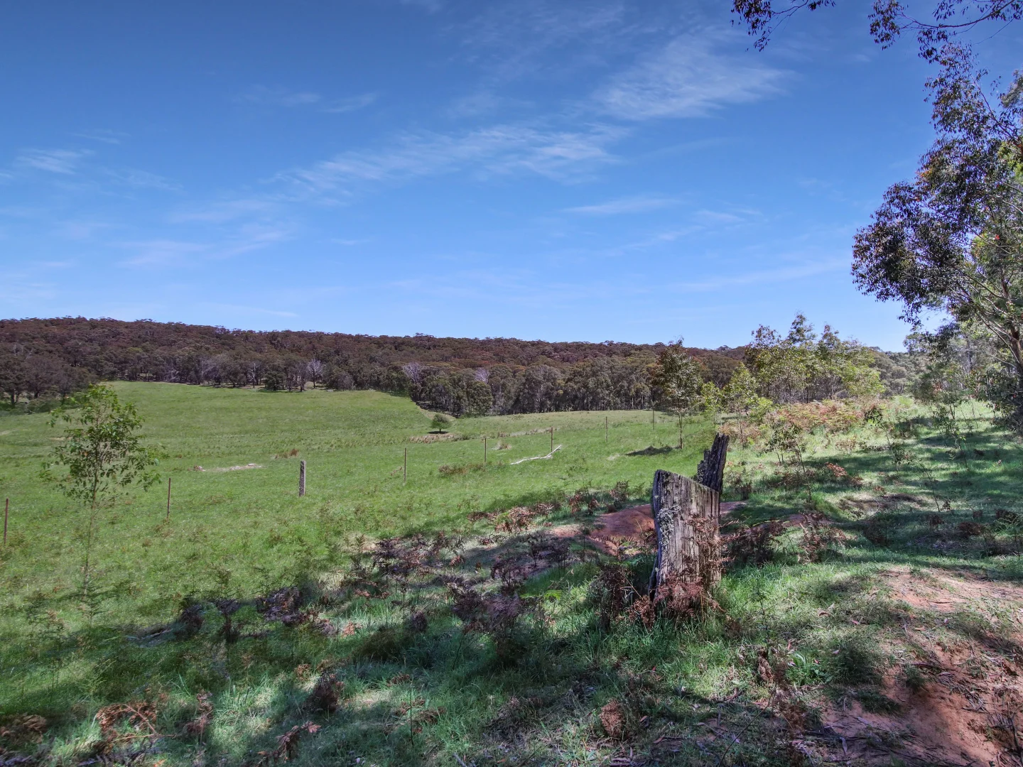 Additional image 25 of 12 Bluebell Road, Braidwood NSW 2622