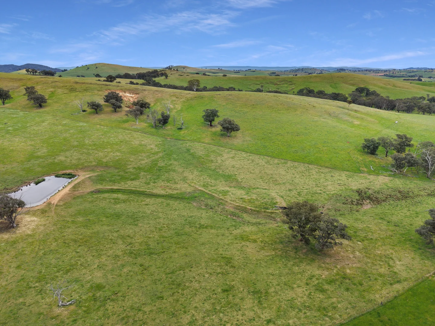 Additional image 29 of 'horse Gully' Old Waugoola Road, Woodstock NSW 2793