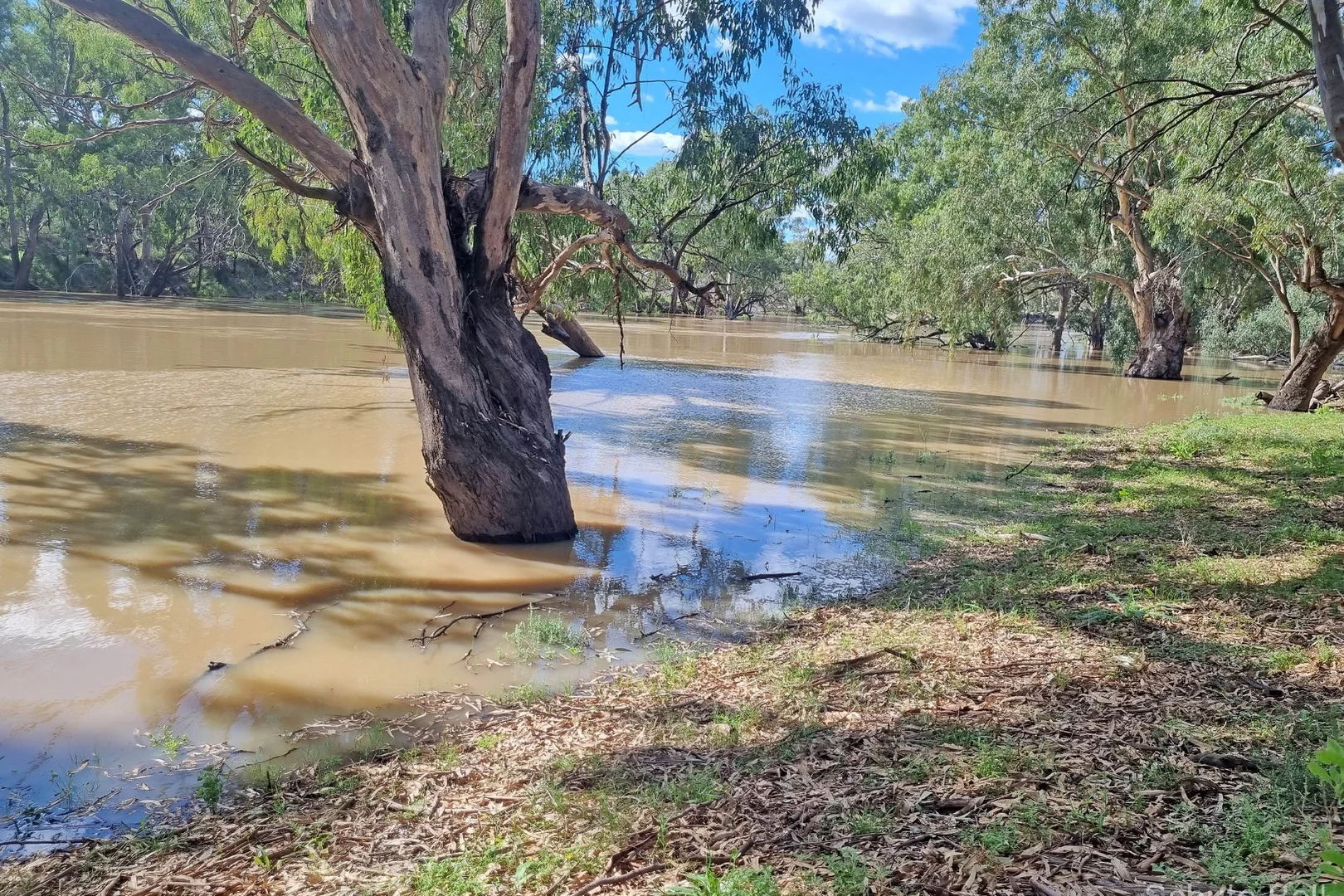 Additional image 11 of 151 Burban Street, Brewarrina NSW 2839