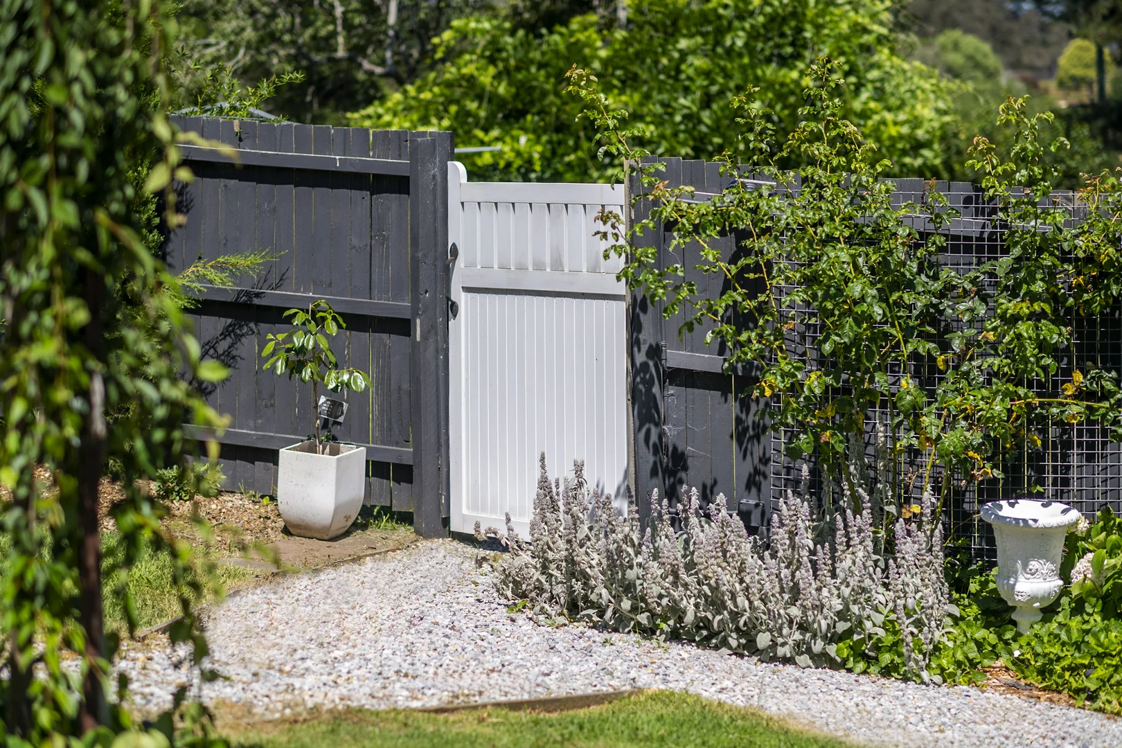 Additional image 21 of 42 Conflict Street, Sutton Forest NSW 2577