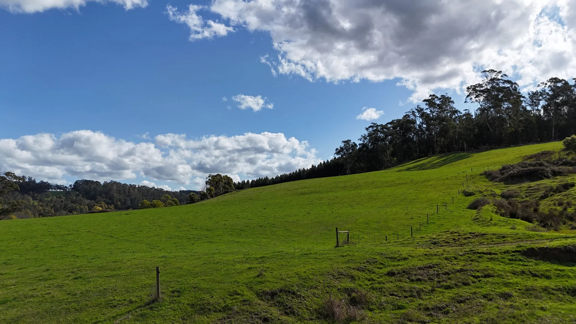 Additional image 23 of 141 BUNDERRA DRIVE, Boolarra VIC 3870