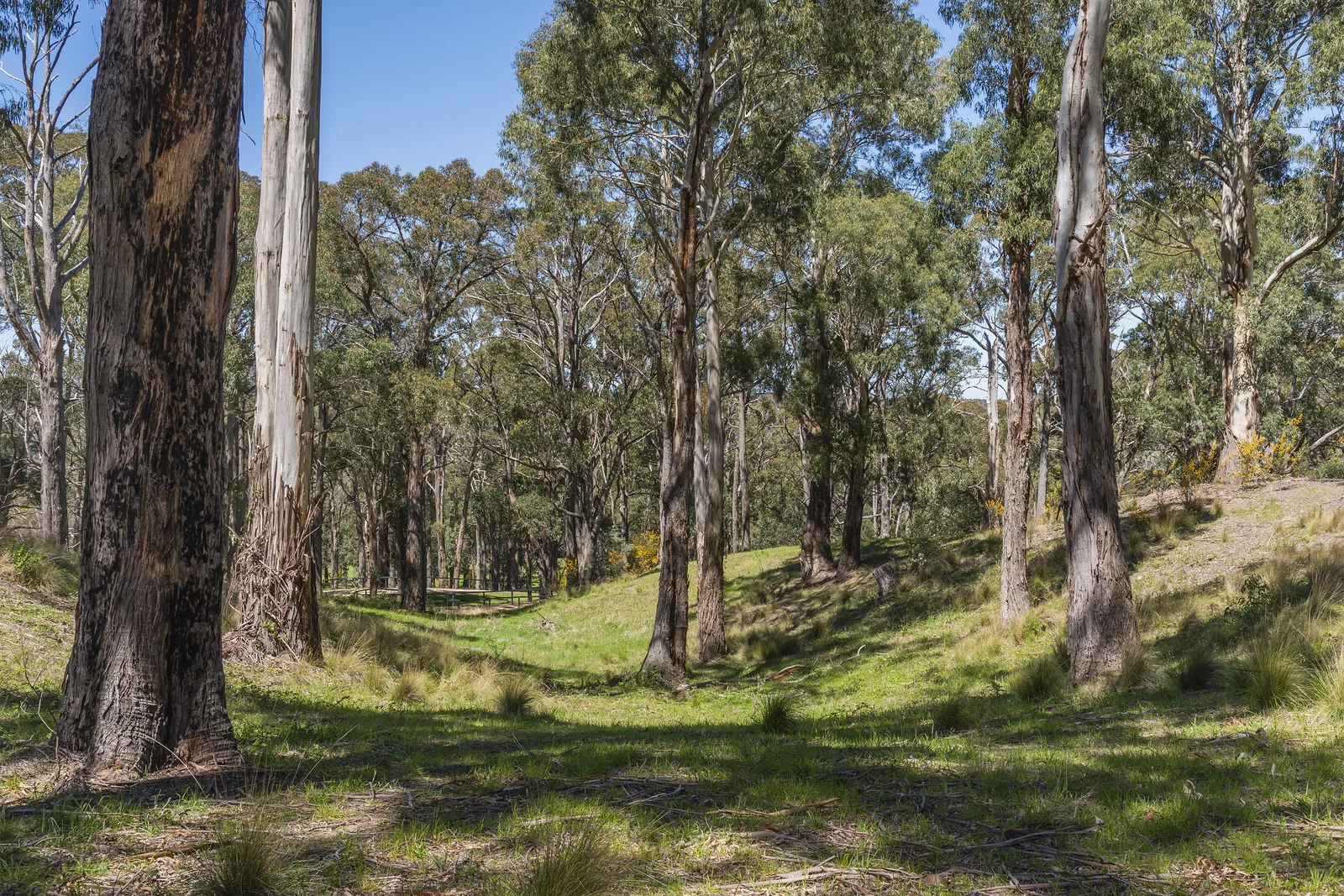 Additional image 10 of 6 Zig Zag Road, Mount Macedon VIC 3441