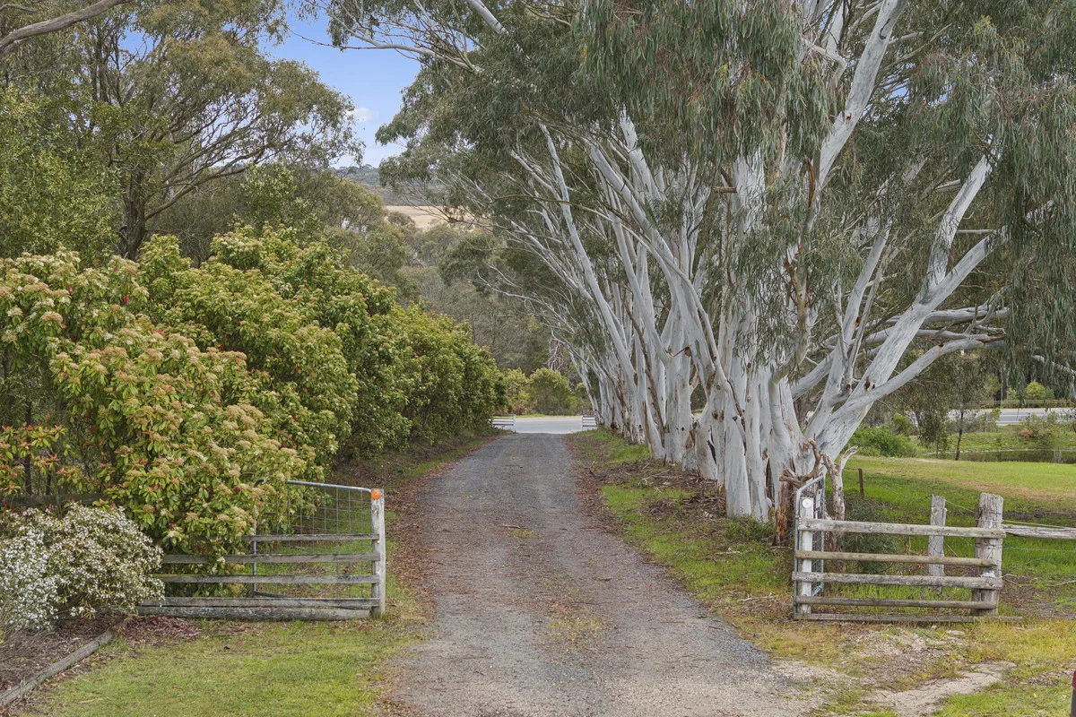 Additional image 3 of 1349 Glenelg Highway, Smythesdale VIC 3351