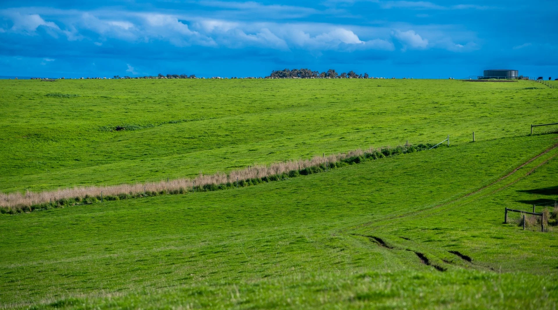 Additional image 16 of Old Sellicks Hill Road, Sellicks Hill SA 5174