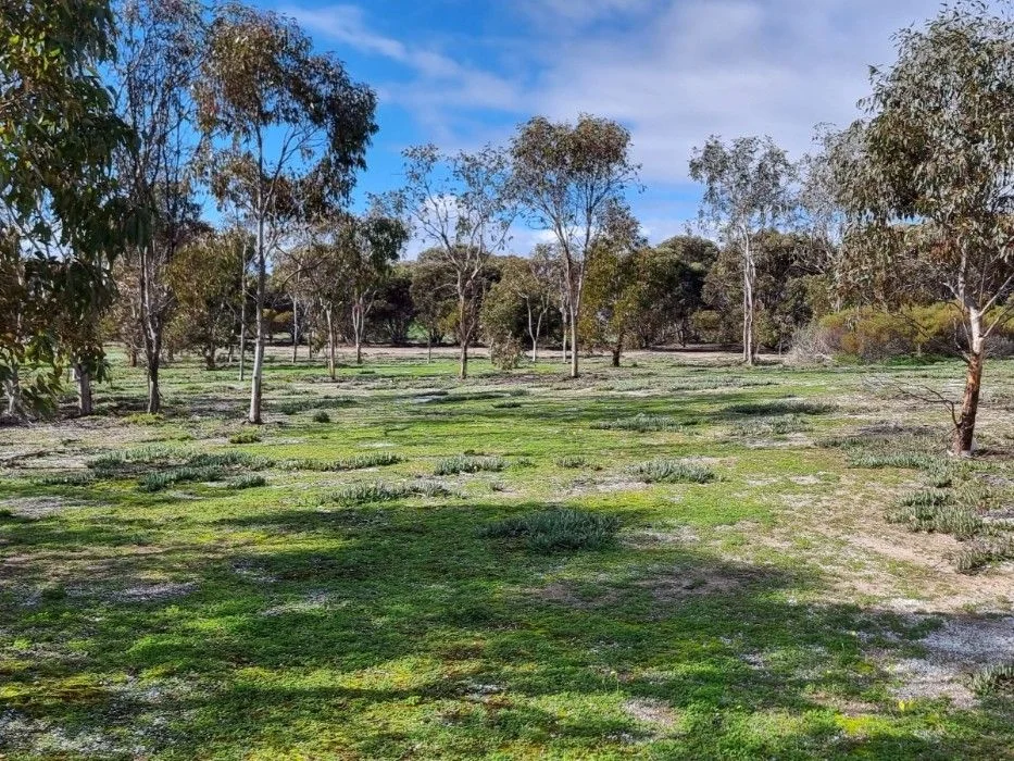 Additional image 17 of Parsons Beach SA 5575