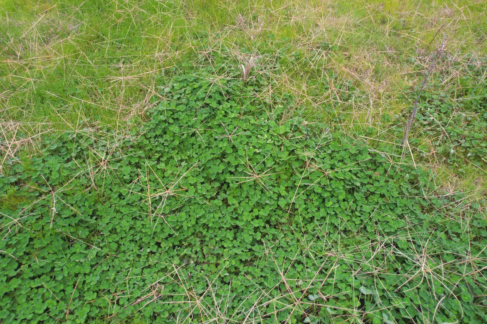 Additional image 2 of 'Weona' 307 Taylors Lane, Barmedman NSW 2668