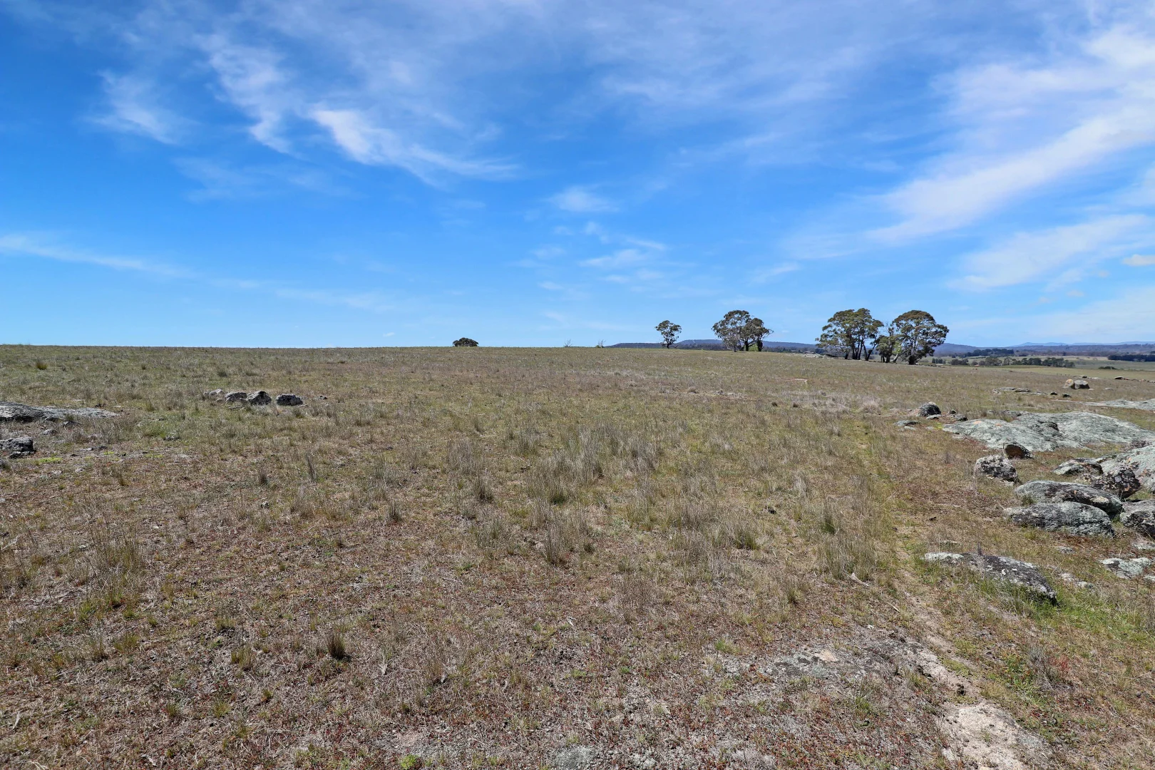 Additional image 9 of Lot 50 Delegate Road, Bombala NSW 2632
