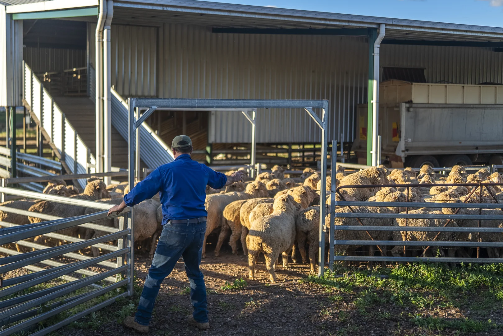 Additional image 3 of Ashford Heath 47 Adios Lane, Bogan Gate NSW 2876