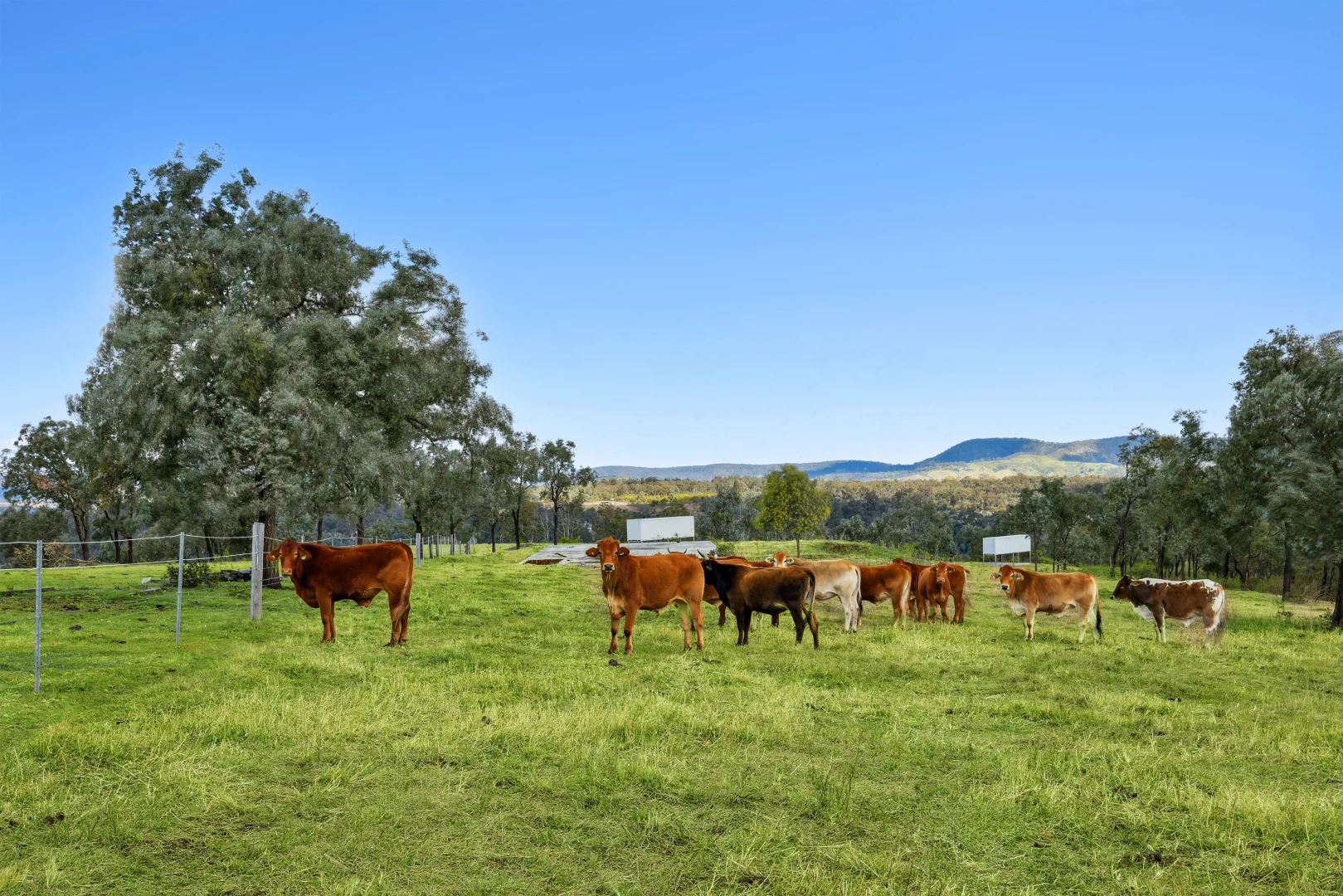 Additional image 23 of 1230 East Egypt Road, Fordsdale QLD 4343