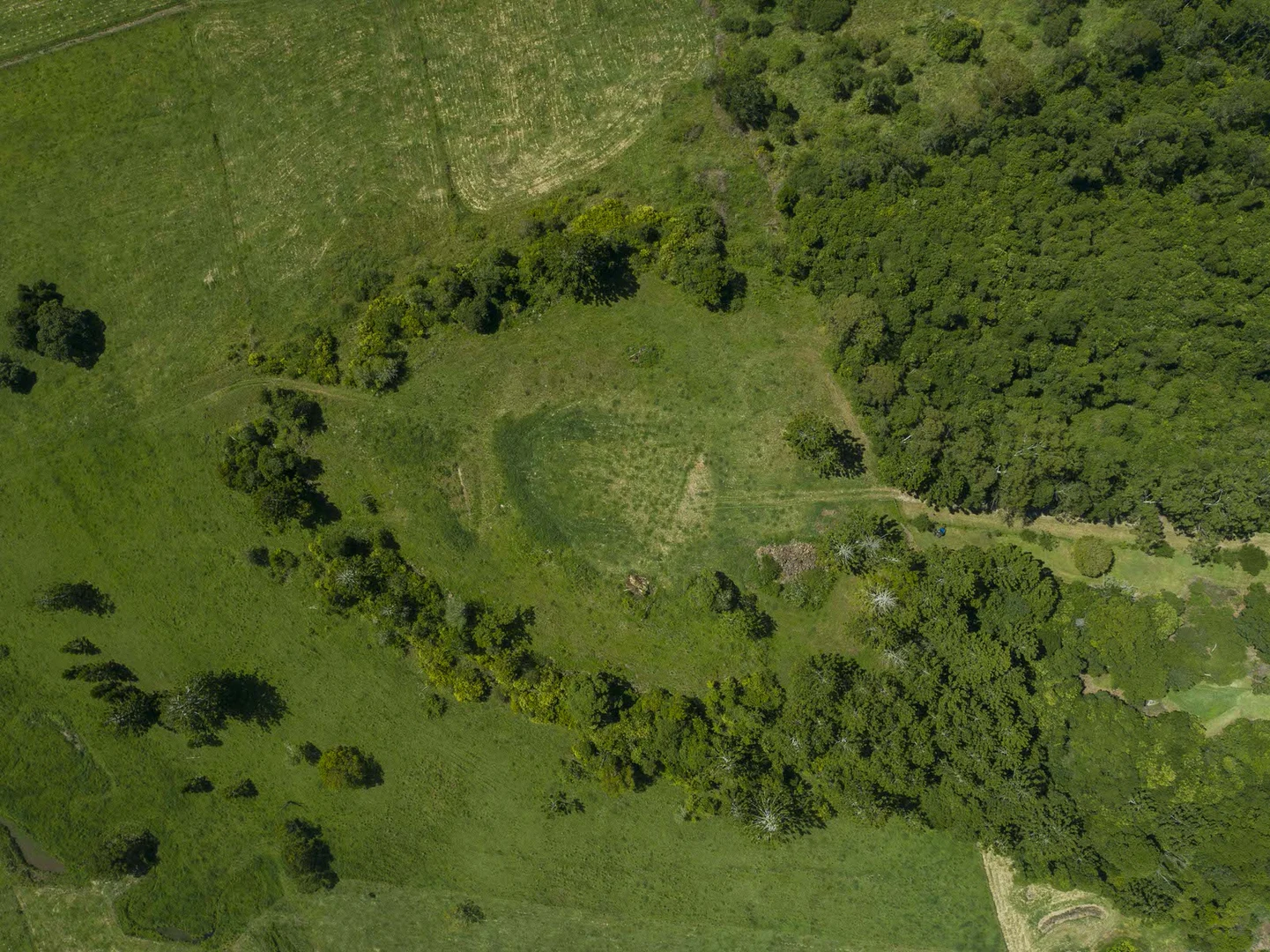 Additional image 6 of McLeans Ridges NSW 2480